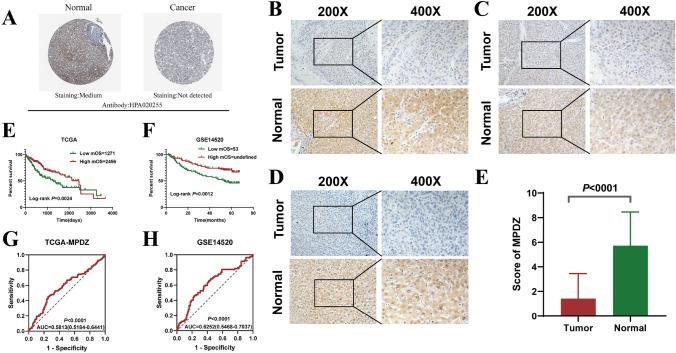 https://cdn.ncbi.nlm.nih.gov/pmc/blobs/1d23/12176938/68b0af7a987d/10238_2025_1729_Fig2_HTML.jpg