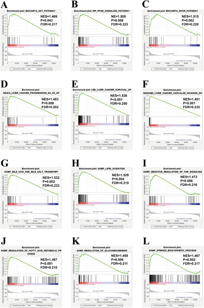 https://cdn.ncbi.nlm.nih.gov/pmc/blobs/1d23/12176938/8529fb611ec0/10238_2025_1729_Fig8_HTML.jpg