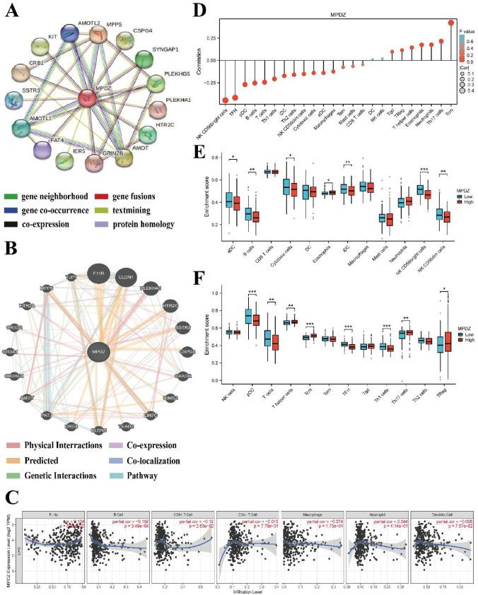 https://cdn.ncbi.nlm.nih.gov/pmc/blobs/1d23/12176938/97b74dc40fa7/10238_2025_1729_Fig7_HTML.jpg