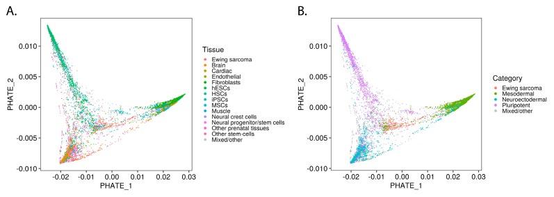 https://cdn.ncbi.nlm.nih.gov/pmc/blobs/1d24/7226175/6fd4f847399a/cancers-12-00948-g002.jpg