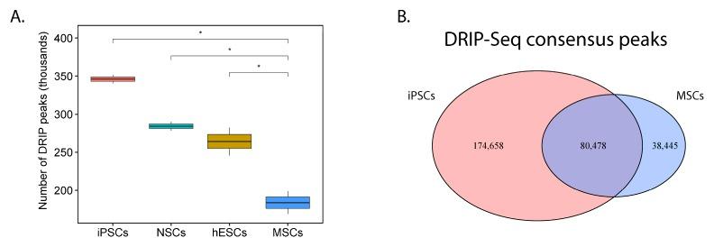 https://cdn.ncbi.nlm.nih.gov/pmc/blobs/1d24/7226175/f08bc7aa99a3/cancers-12-00948-g006.jpg