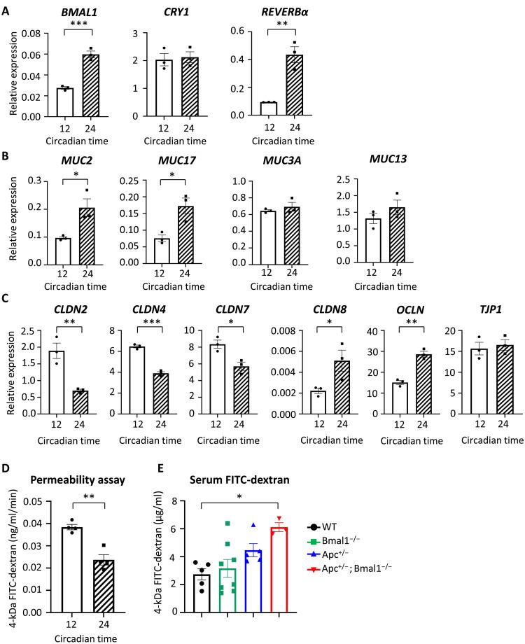 https://cdn.ncbi.nlm.nih.gov/pmc/blobs/1d25/11430476/47794973152c/sciadv.ado1458-f7.jpg