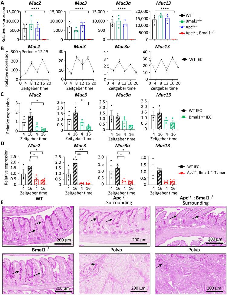 https://cdn.ncbi.nlm.nih.gov/pmc/blobs/1d25/11430476/7de81d7c6d3d/sciadv.ado1458-f5.jpg