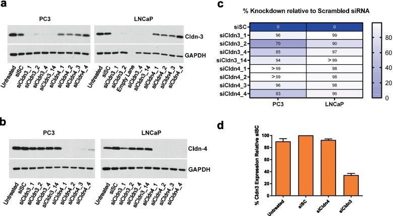 https://cdn.ncbi.nlm.nih.gov/pmc/blobs/1d25/8607359/713e378326ee/43556_2021_53_Fig2_HTML.jpg