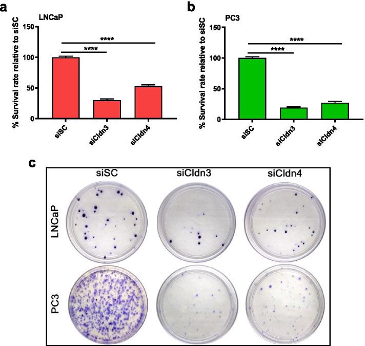 https://cdn.ncbi.nlm.nih.gov/pmc/blobs/1d25/8607359/ec33d95a02a3/43556_2021_53_Fig5_HTML.jpg