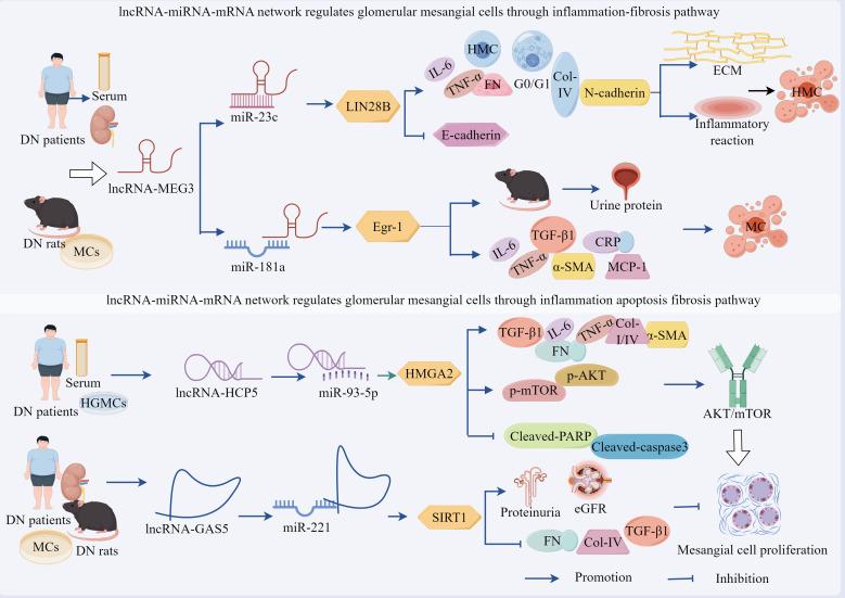 https://cdn.ncbi.nlm.nih.gov/pmc/blobs/1d26/12339344/2b5f9258c1a2/fendo-16-1625307-g003.jpg