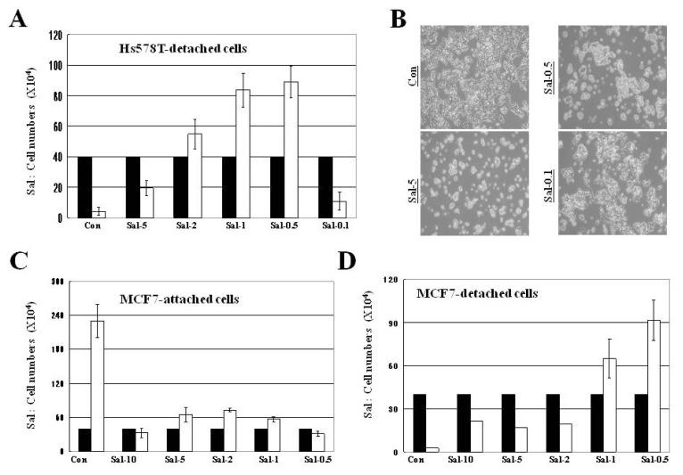 https://cdn.ncbi.nlm.nih.gov/pmc/blobs/1d27/3497319/2842908acd69/ijms-13-13169f2.jpg