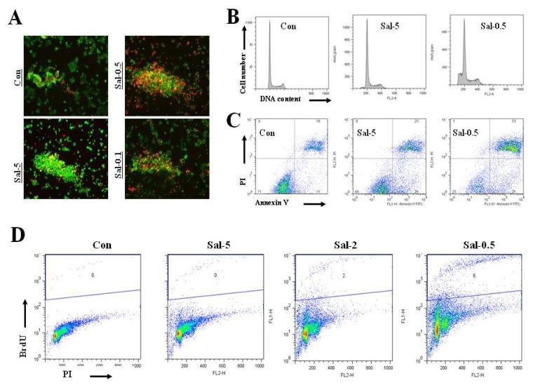 https://cdn.ncbi.nlm.nih.gov/pmc/blobs/1d27/3497319/f887631e02ce/ijms-13-13169f4.jpg