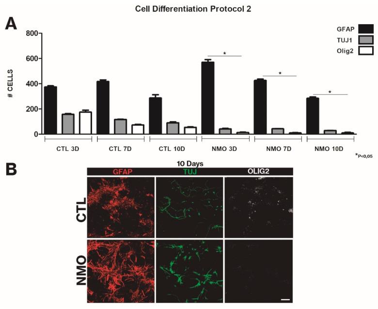 https://cdn.ncbi.nlm.nih.gov/pmc/blobs/1d27/8155872/5a8c43987dec/ijms-22-05192-g004.jpg