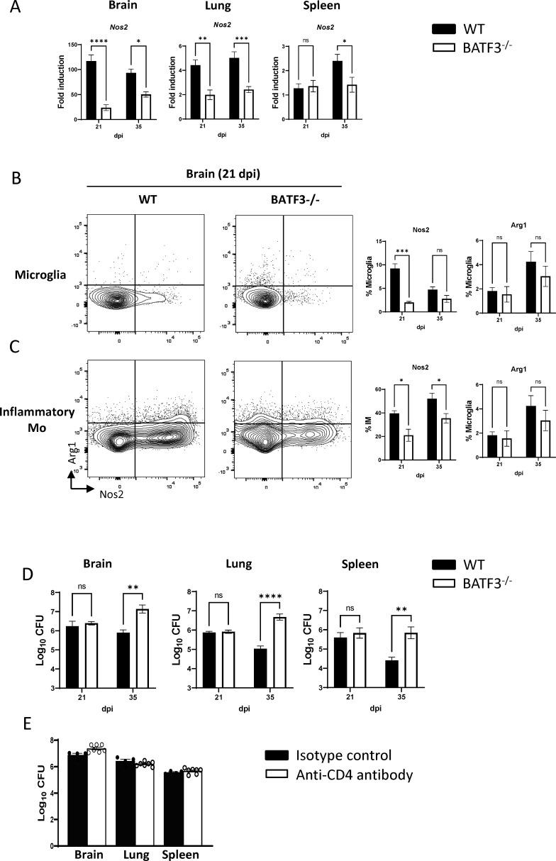 https://cdn.ncbi.nlm.nih.gov/pmc/blobs/1d28/10936214/9fc7254006c5/mbio.02853-23.f006.jpg