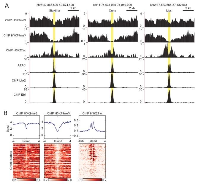 https://cdn.ncbi.nlm.nih.gov/pmc/blobs/1d28/5608512/08ebfb3d7b54/elife-28620-fig1-figsupp3.jpg