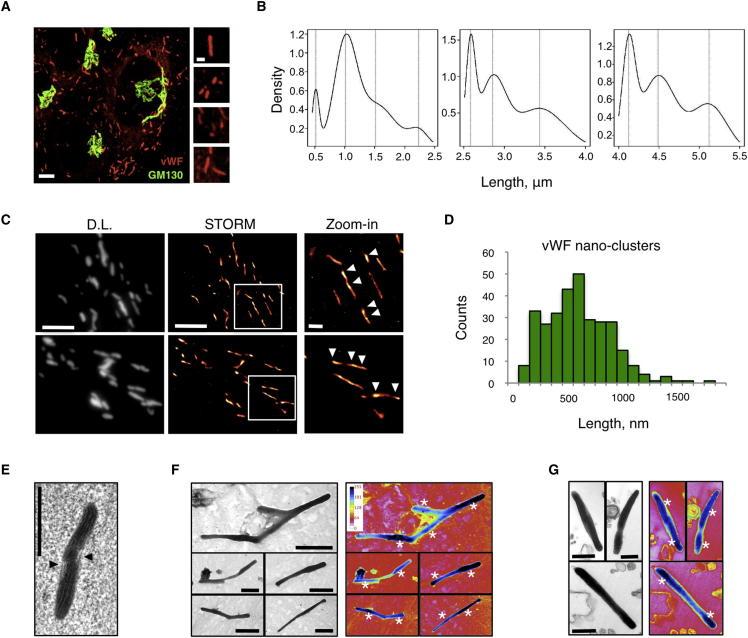 https://cdn.ncbi.nlm.nih.gov/pmc/blobs/1d29/4022834/37364a5153ff/gr2.jpg