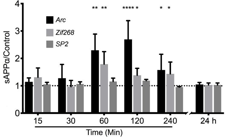 https://cdn.ncbi.nlm.nih.gov/pmc/blobs/1d2a/6702288/09720e53cfba/fnmol-12-00198-g002.jpg