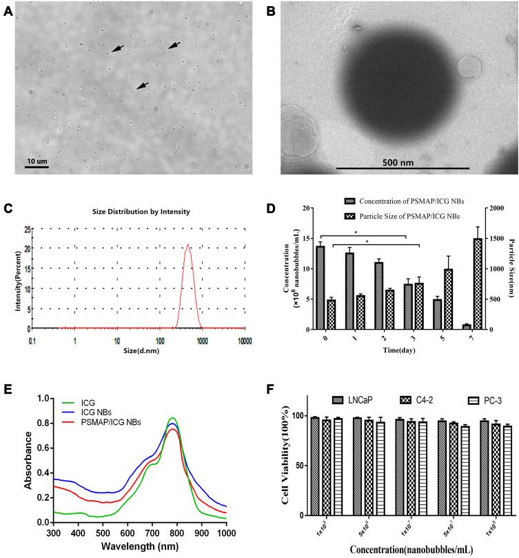 https://cdn.ncbi.nlm.nih.gov/pmc/blobs/1d2e/7306459/5101ceb322b4/IJN-15-4289-g0003.jpg