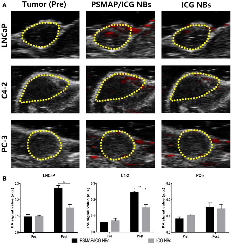 https://cdn.ncbi.nlm.nih.gov/pmc/blobs/1d2e/7306459/68d8ebd7f931/IJN-15-4289-g0009.jpg