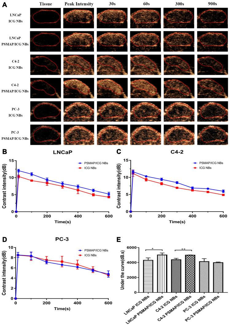 https://cdn.ncbi.nlm.nih.gov/pmc/blobs/1d2e/7306459/956d3e225cff/IJN-15-4289-g0008.jpg
