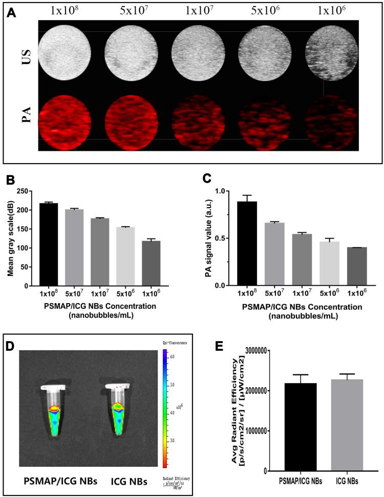 https://cdn.ncbi.nlm.nih.gov/pmc/blobs/1d2e/7306459/ca122c6ab0dd/IJN-15-4289-g0007.jpg