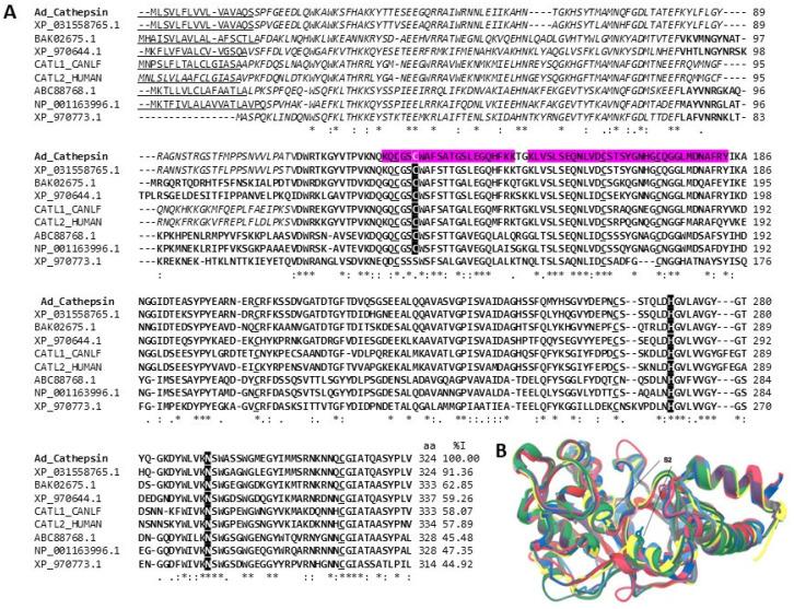 https://cdn.ncbi.nlm.nih.gov/pmc/blobs/1d31/10821040/2a07d9bf0341/marinedrugs-22-00012-g005.jpg