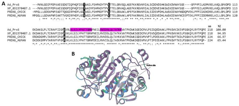 https://cdn.ncbi.nlm.nih.gov/pmc/blobs/1d31/10821040/86d0acb436ca/marinedrugs-22-00012-g007.jpg