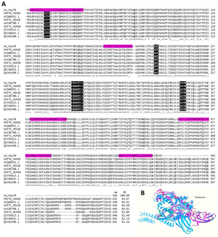 https://cdn.ncbi.nlm.nih.gov/pmc/blobs/1d31/10821040/a6a04d4a0015/marinedrugs-22-00012-g009.jpg