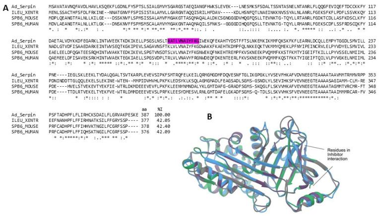 https://cdn.ncbi.nlm.nih.gov/pmc/blobs/1d31/10821040/c028753b5bbf/marinedrugs-22-00012-g010.jpg
