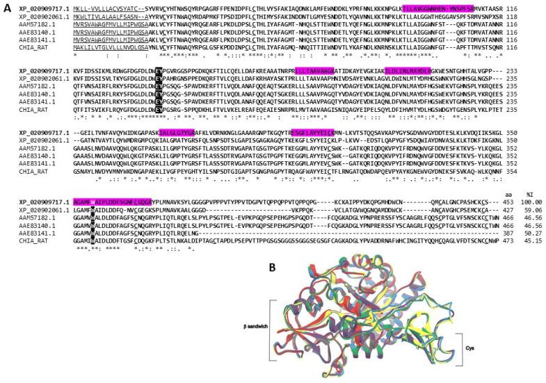 https://cdn.ncbi.nlm.nih.gov/pmc/blobs/1d31/10821040/c094b0fce10b/marinedrugs-22-00012-g006.jpg