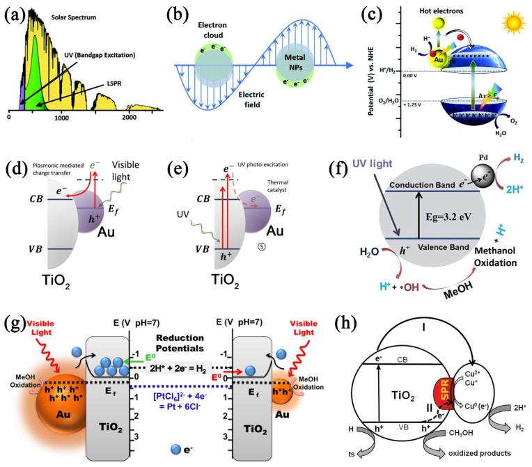 https://cdn.ncbi.nlm.nih.gov/pmc/blobs/1d31/11123945/346926907a1c/molecules-29-02347-g004.jpg