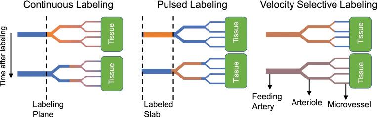 https://cdn.ncbi.nlm.nih.gov/pmc/blobs/1d33/11234948/a77003550887/mrms-23-352-g1.jpg