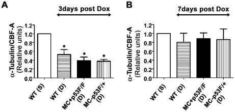 https://cdn.ncbi.nlm.nih.gov/pmc/blobs/1d34/3145765/33e4173d5267/pone.0022801.g008.jpg