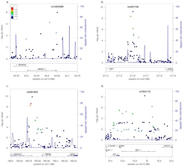 https://cdn.ncbi.nlm.nih.gov/pmc/blobs/1d35/3169538/24f2f39c53cc/pgen.1002275.g001.jpg