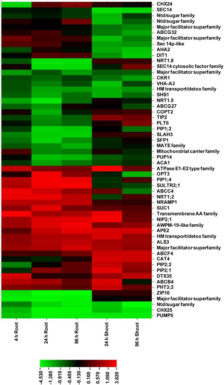 https://cdn.ncbi.nlm.nih.gov/pmc/blobs/1d37/4541038/71ec7f4e555f/fpls-06-00646-g004.jpg