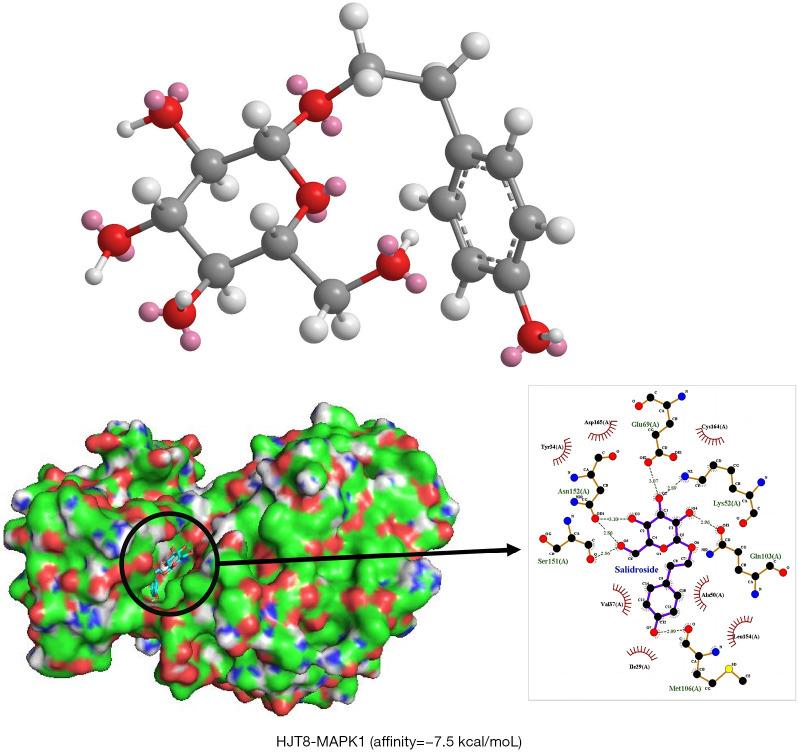 https://cdn.ncbi.nlm.nih.gov/pmc/blobs/1d38/10944760/c53dffb17fd3/jtd-16-02-1350-f6.jpg