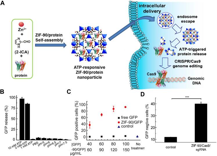 https://cdn.ncbi.nlm.nih.gov/pmc/blobs/1d38/8819150/3a76cc8f9320/fchem-09-834171-g004.jpg