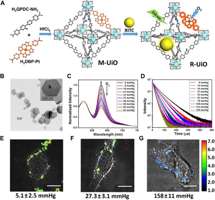 https://cdn.ncbi.nlm.nih.gov/pmc/blobs/1d38/8819150/5c59f1e9666e/fchem-09-834171-g008.jpg