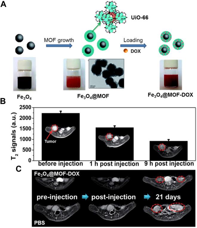 https://cdn.ncbi.nlm.nih.gov/pmc/blobs/1d38/8819150/cec01d57343c/fchem-09-834171-g009.jpg