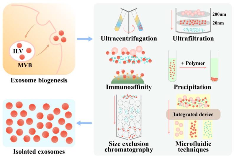 https://cdn.ncbi.nlm.nih.gov/pmc/blobs/1d3c/9413347/5e63dce3155d/membranes-12-00739-g001.jpg
