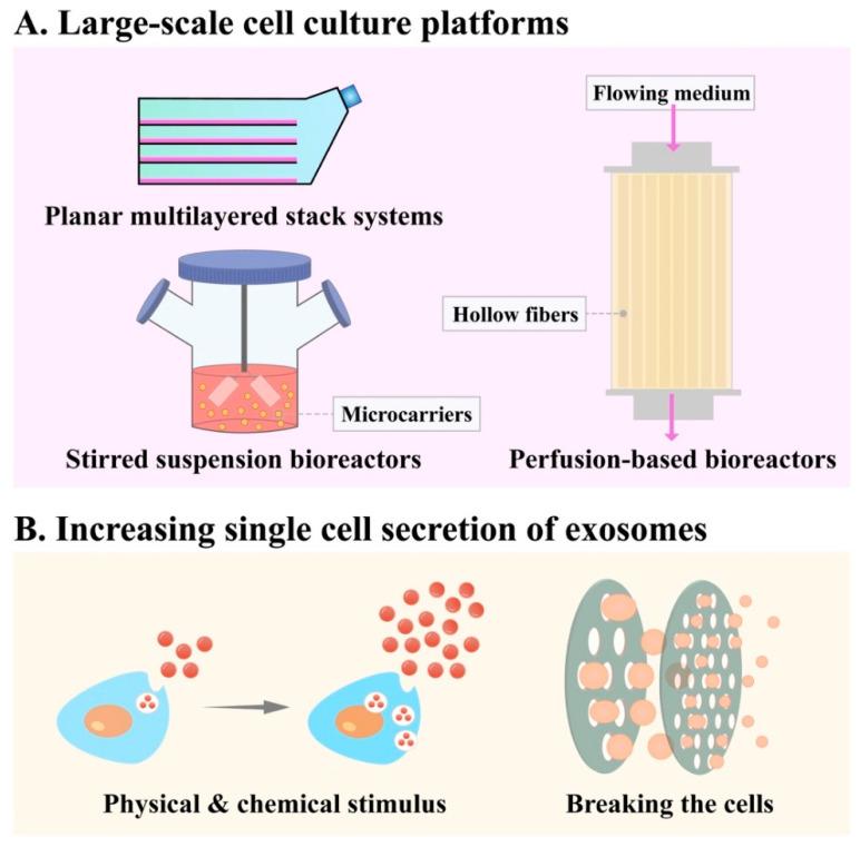 https://cdn.ncbi.nlm.nih.gov/pmc/blobs/1d3c/9413347/d686d7d4f999/membranes-12-00739-g002.jpg