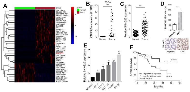https://cdn.ncbi.nlm.nih.gov/pmc/blobs/1d42/10599716/9ace8b17d00b/aging-15-205060-g001.jpg