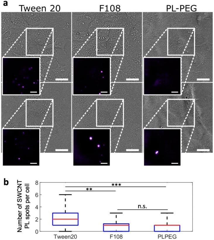 https://cdn.ncbi.nlm.nih.gov/pmc/blobs/1d42/5707610/8bcac161806e/nanomaterials-07-00393-g002.jpg