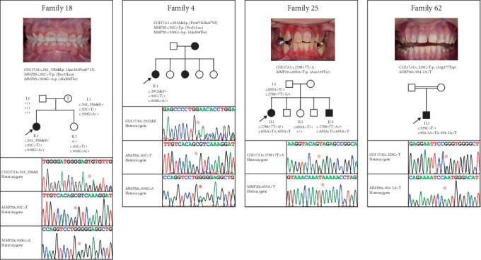 https://cdn.ncbi.nlm.nih.gov/pmc/blobs/1d43/12308062/c263760f6040/HUMU2025-8942542.002.jpg