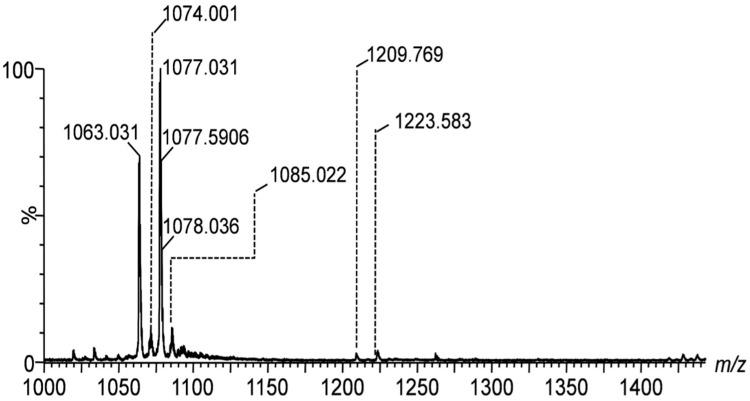 https://cdn.ncbi.nlm.nih.gov/pmc/blobs/1d43/12428295/2845c2d36572/ijms-26-08433-g002.jpg