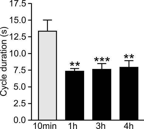 https://cdn.ncbi.nlm.nih.gov/pmc/blobs/1d43/2944630/5955d366f94b/fnbeh-04-00161-g006.jpg