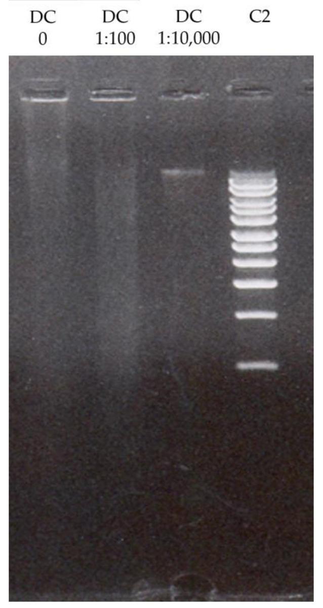 https://cdn.ncbi.nlm.nih.gov/pmc/blobs/1d47/11123820/4da6b8f03b41/pharmaceuticals-17-00600-g002.jpg