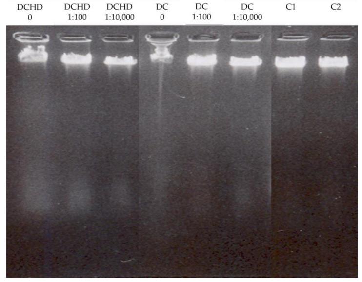 https://cdn.ncbi.nlm.nih.gov/pmc/blobs/1d47/11123820/57bac2b2dc23/pharmaceuticals-17-00600-g001.jpg