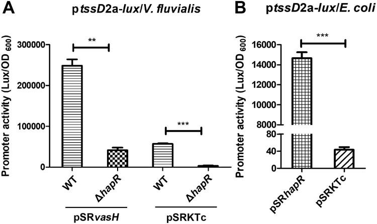 https://cdn.ncbi.nlm.nih.gov/pmc/blobs/1d47/8018390/5f249c5ac879/TEMI_A_1902244_F0007_OB.jpg