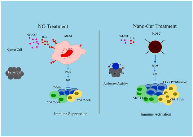 https://cdn.ncbi.nlm.nih.gov/pmc/blobs/1d49/9194645/00ac14811000/ga1.jpg