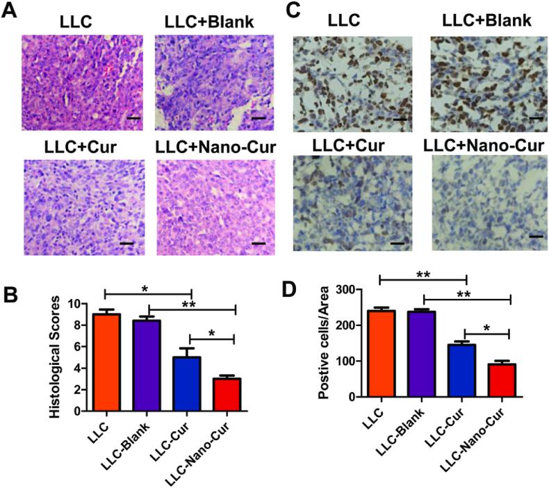 https://cdn.ncbi.nlm.nih.gov/pmc/blobs/1d49/9194645/9e5ce99ede2b/gr4.jpg