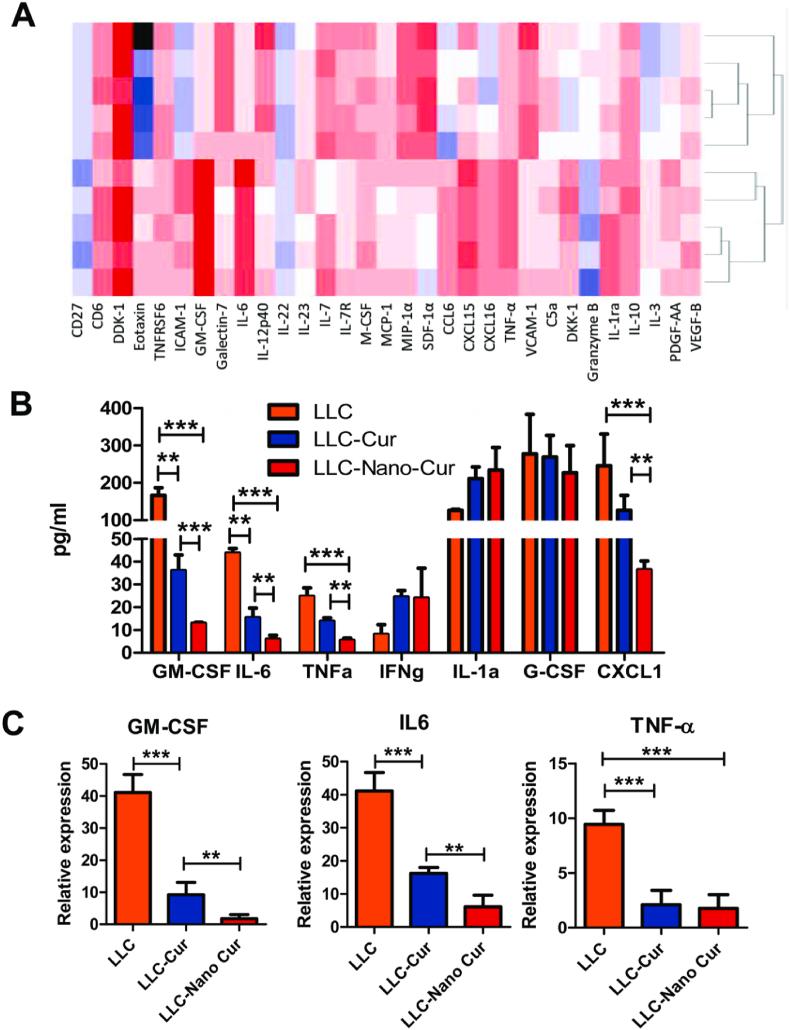 https://cdn.ncbi.nlm.nih.gov/pmc/blobs/1d49/9194645/c3a964693c53/gr6.jpg