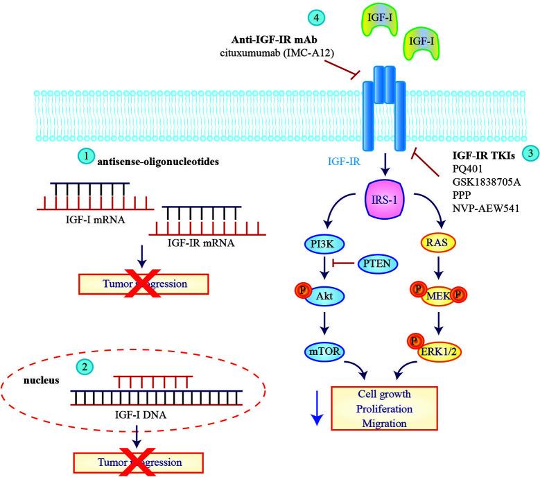 https://cdn.ncbi.nlm.nih.gov/pmc/blobs/1d4d/7885861/5c0f960dee47/fonc-10-612385-g002.jpg