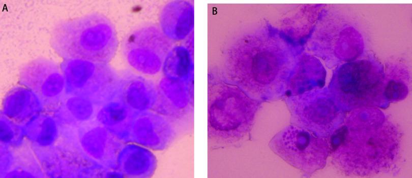 https://cdn.ncbi.nlm.nih.gov/pmc/blobs/1d4e/7969378/2d52c8d944b2/zgfazz-13-9-841-2.jpg